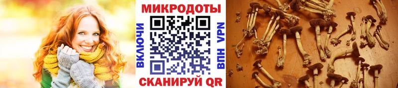 магазин продажи наркотиков  Осинники  Галлюциногенные грибы Magic Shrooms 