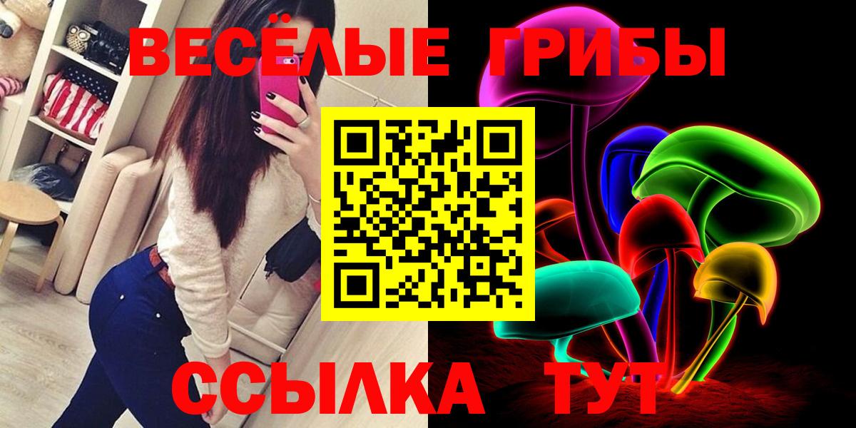 Галлюциногенные грибы Psilocybe Осинники